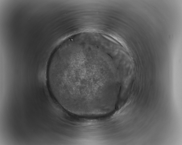 X0000089680438200707051609