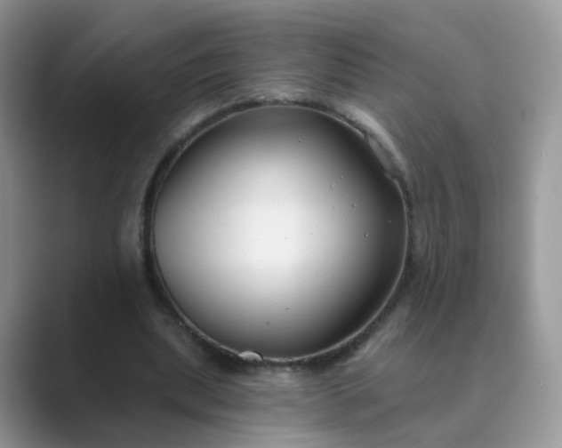 X0000089680439200707051609