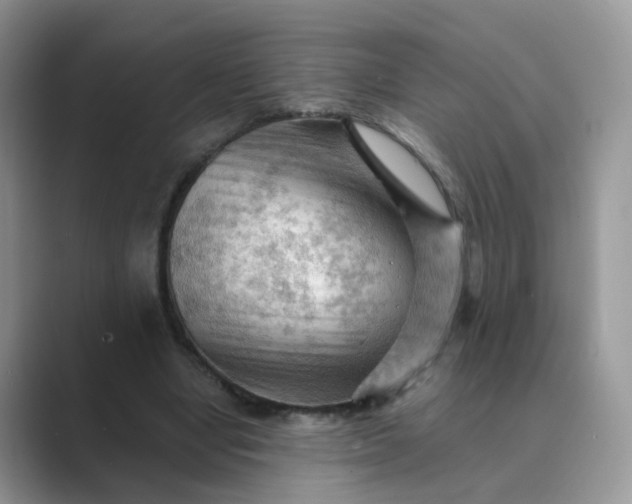 X0000089680442200707051609