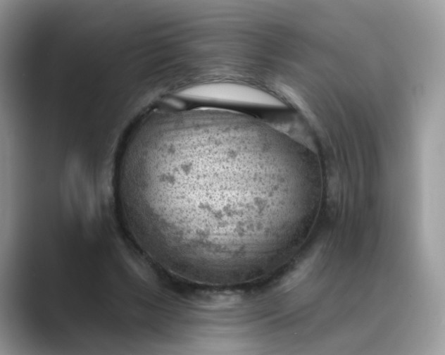 X0000089680443200707051609