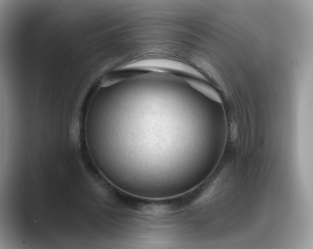 X0000089680444200707051609
