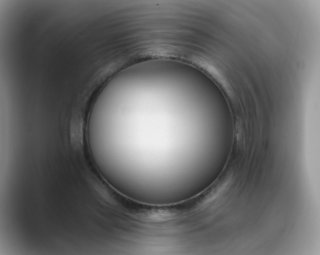 X0000089680445200707051609