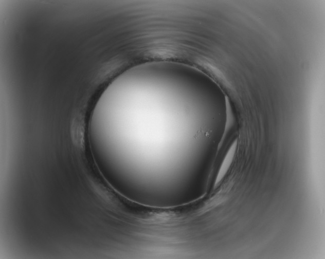 X0000089680446200707051609