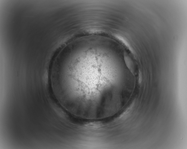 X0000089680447200707051609