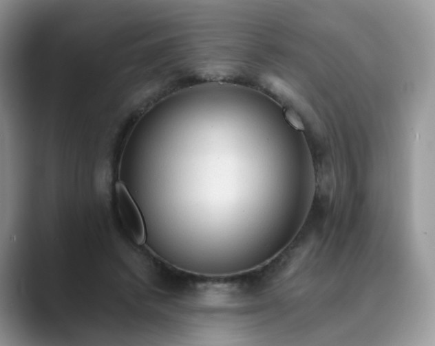 X0000089680448200707051609