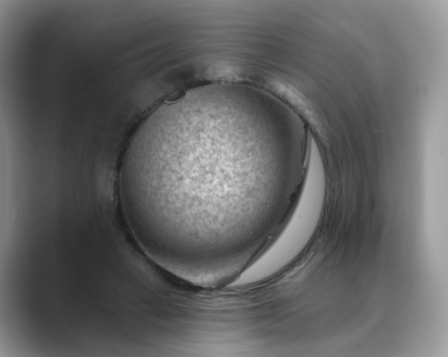 X0000089680449200707051609