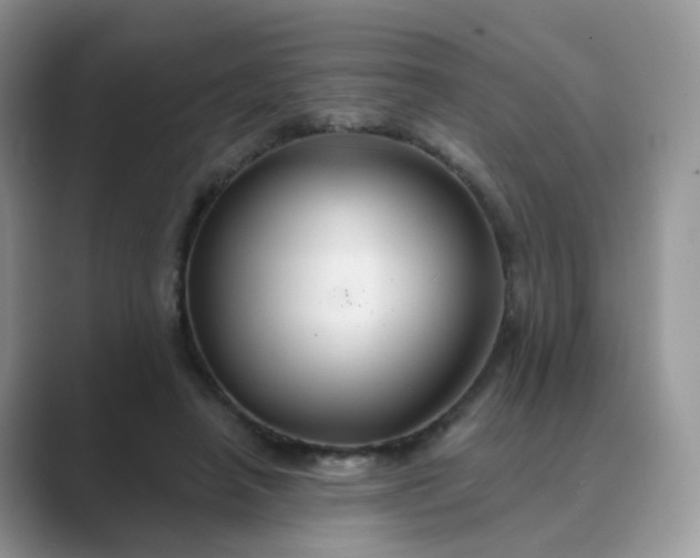 X0000089680450200707051609