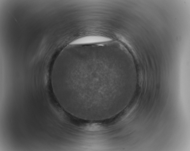 X0000089680451200707051609