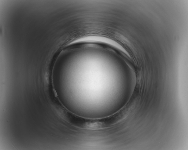 X0000089680452200707051609