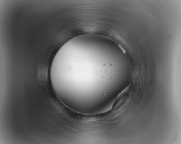 X0000089680454200707051609