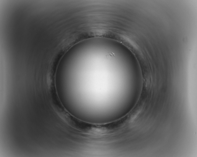 X0000089680455200707051609
