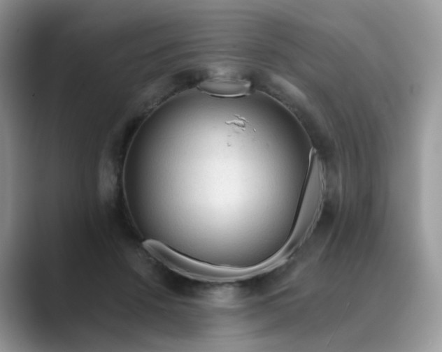 X0000089680456200707051609