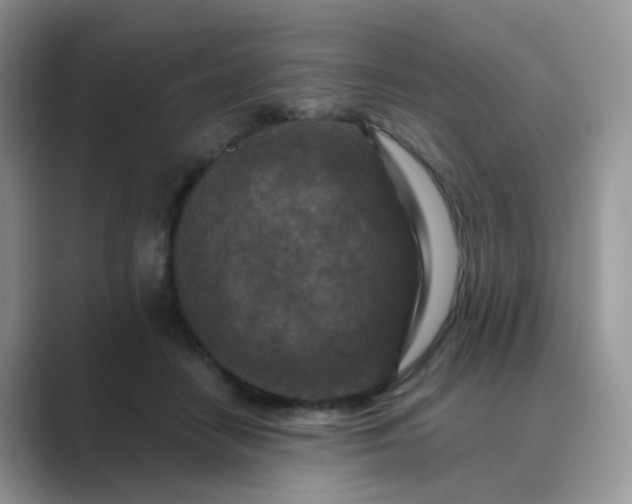 X0000089680458200707051609