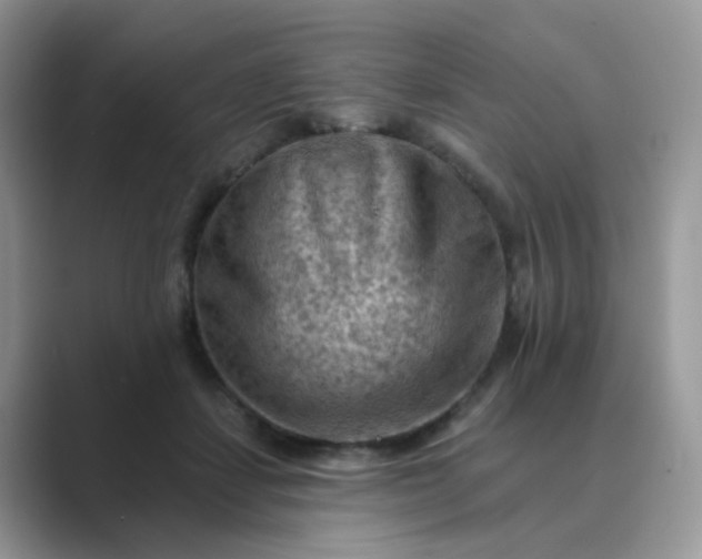 X0000089680459200707051609