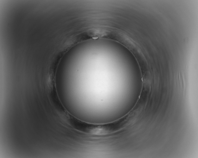 X0000089680460200707051609