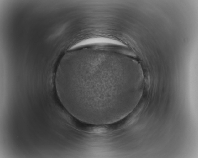 X0000089680462200707051609