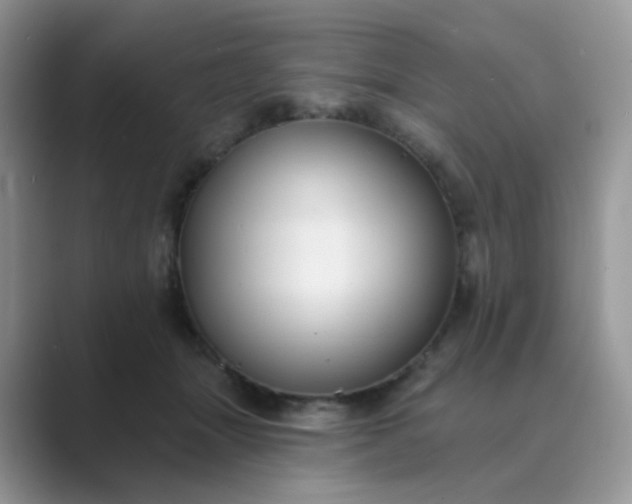 X0000089680463200707051610