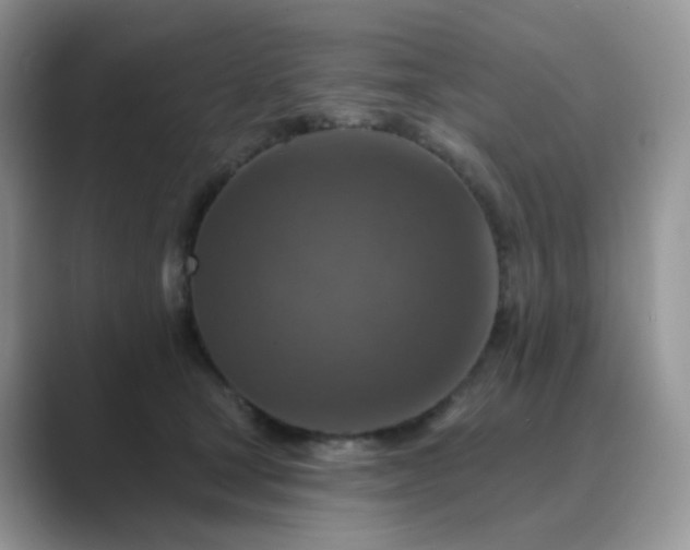 X0000089680465200707051610