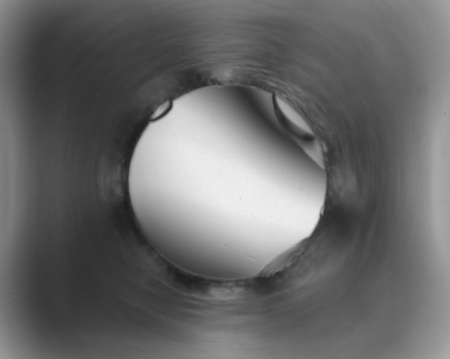 X0000089680470200707051610