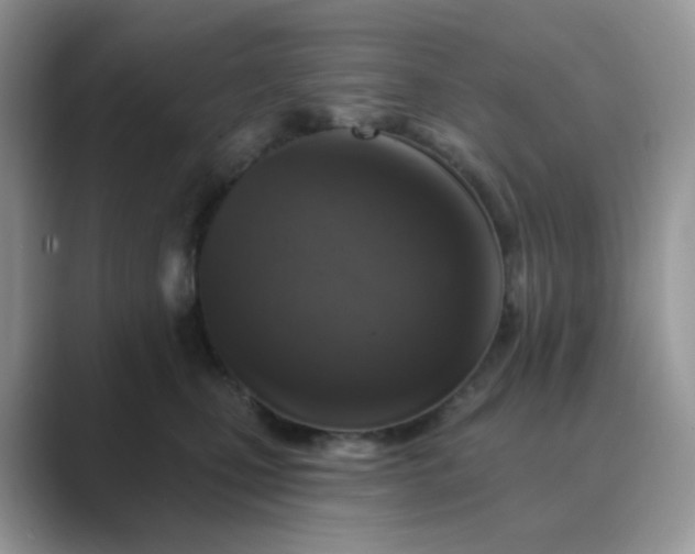 X0000089680471200707051610