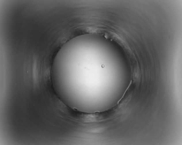 X0000089680473200707051610