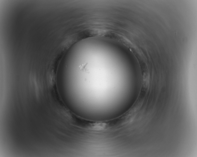 X0000089680474200707051610
