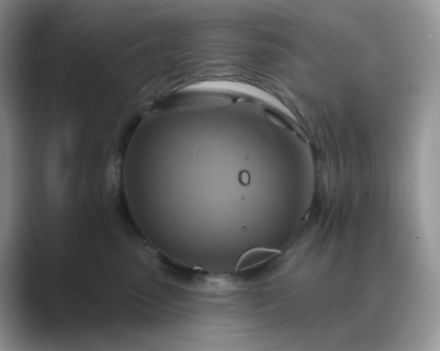 X0000089680475200707051610