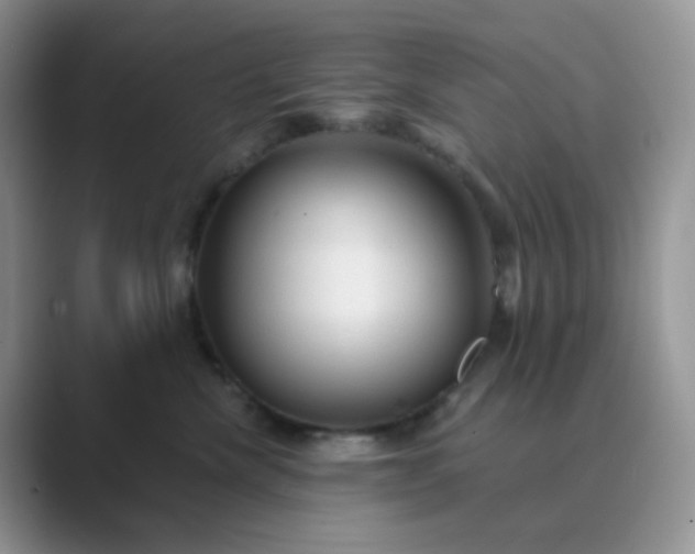 X0000089680476200707051610