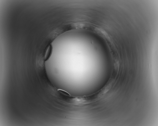 X0000089680477200707051610