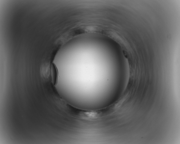 X0000089680478200707051610