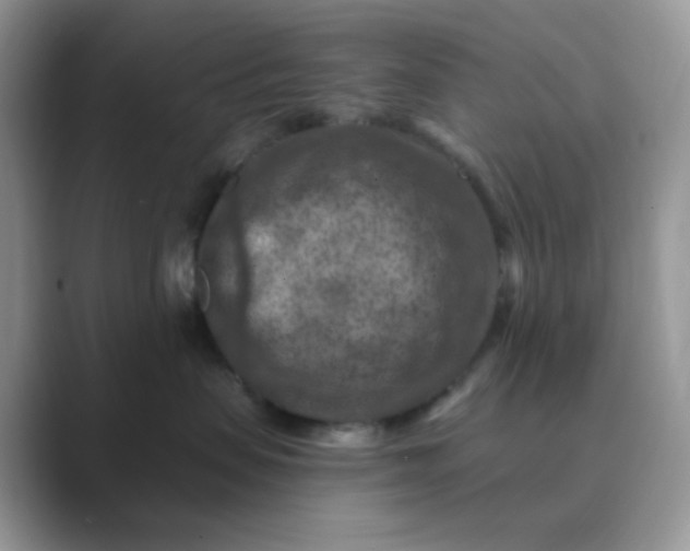 X0000089680479200707051610