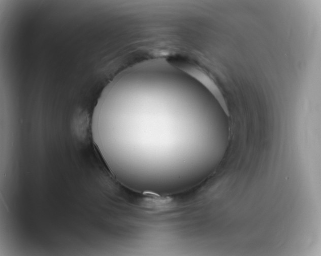 X0000089680480200707051610