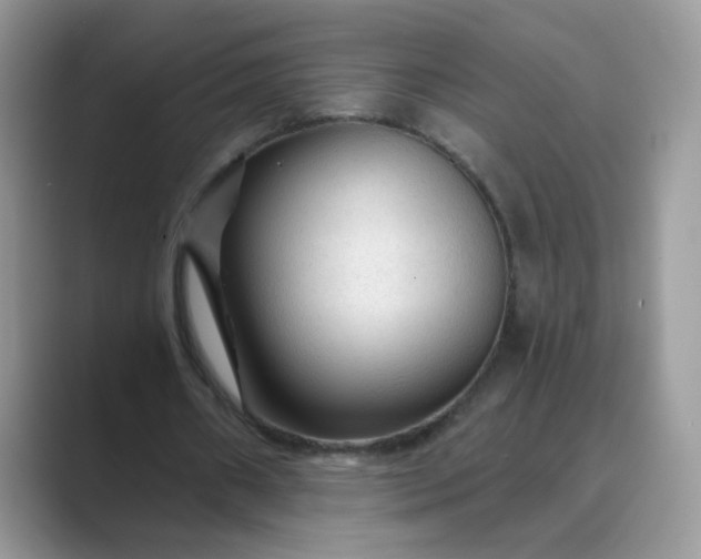 X0000089680482200707051609
