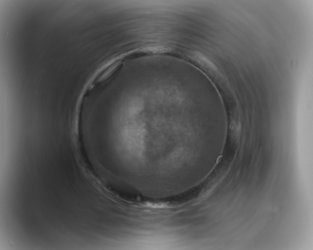 X0000089680484200707051609