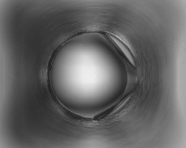 X0000089680485200707051609