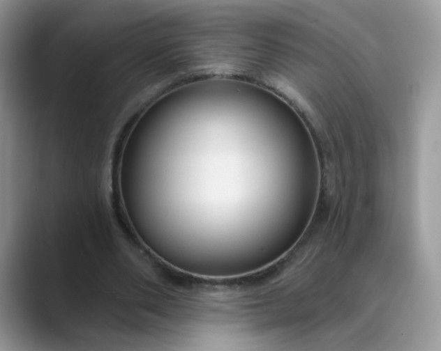 X0000089680486200707051609