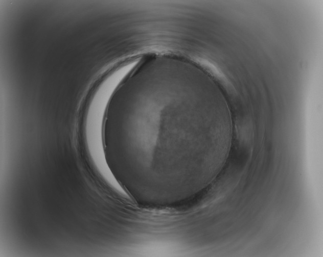 X0000089680488200707051609