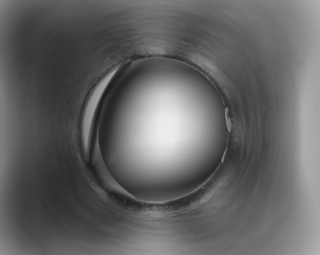 X0000089680489200707051609