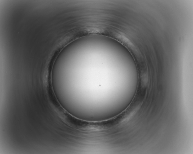 X0000089680490200707051609