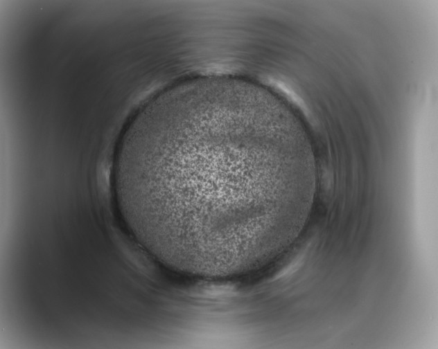 X0000089680491200707051609