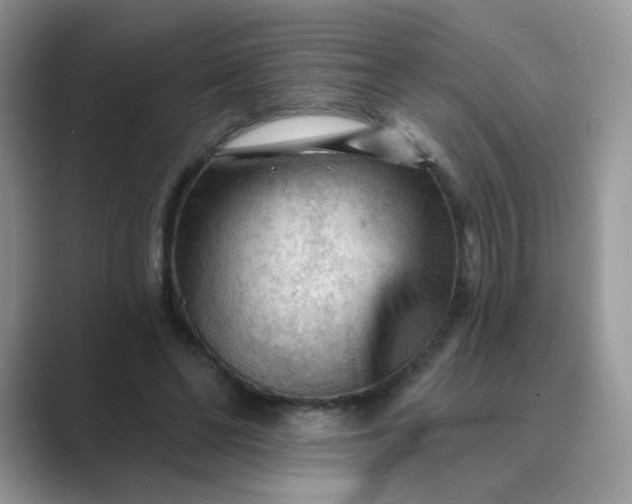 X0000089680494200707051609