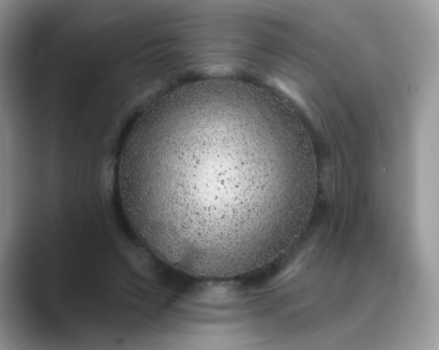 X0000089680495200707051609