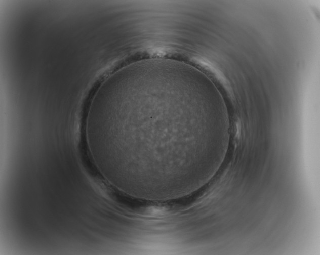 X0000089680496200707051609