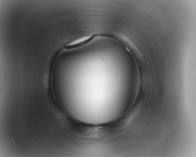 X0000089680497200707051609