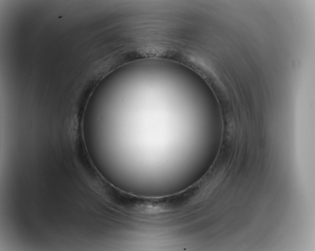 X0000089680498200707051609