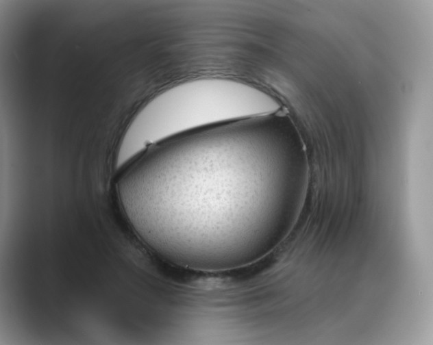 X0000089680499200707051609