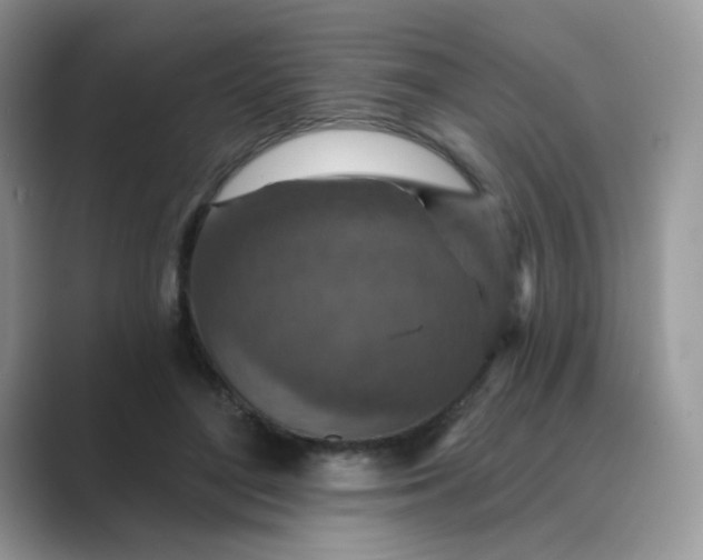X0000089680500200707051609