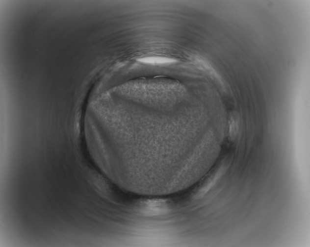 X0000089680501200707051609