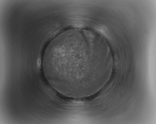 X0000089680502200707051609