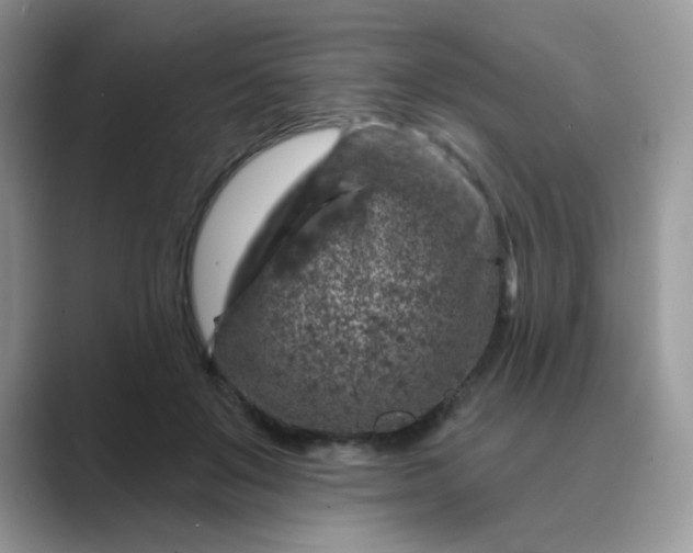 X0000089680503200707051609